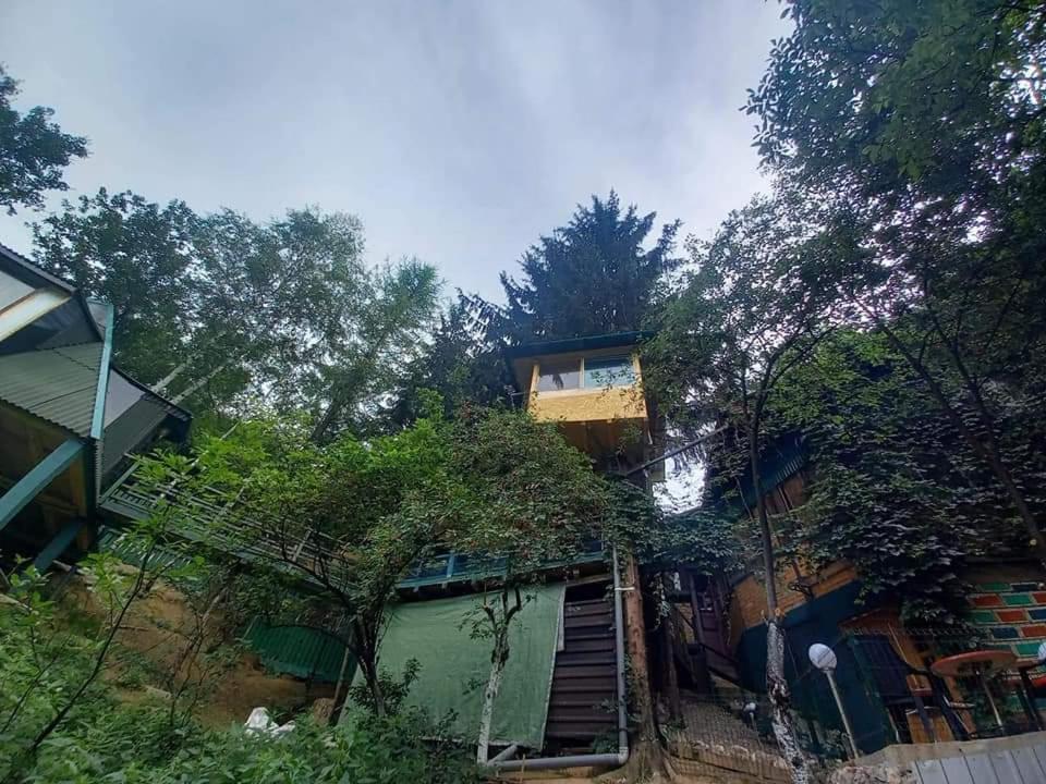ヴィソコTree Houseアパートメント エクステリア 写真